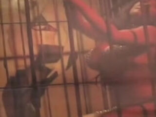 Sexy Vanessa in Caged Heat Clip#1