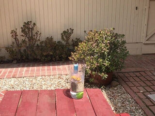 Sex On The Picnic Table Before The Party