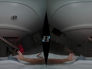 The Purge: Erection Year